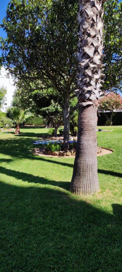 Delta Del Sur Apartment Benalmadena Luaran gambar